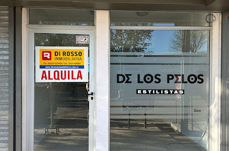 Local Comercial en Diagonal Pellegrini 226
