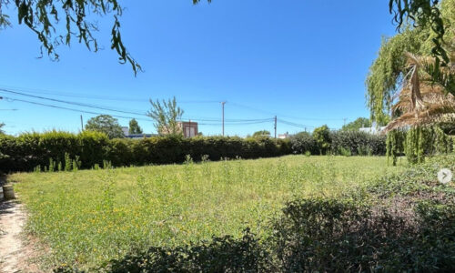 Lote de 755 m² en venta en Barrio Solar del Pehuenche, General Alvear — entorno arbolado y consolidado