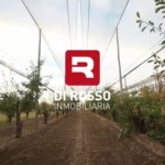 Finca en producción en Bowen