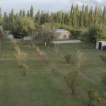Finca en producción en Bowen