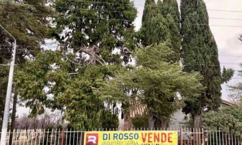 Finca de 8 has en Venta