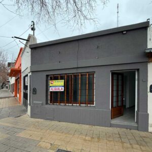 alquiler departamento pellegrini lavalle